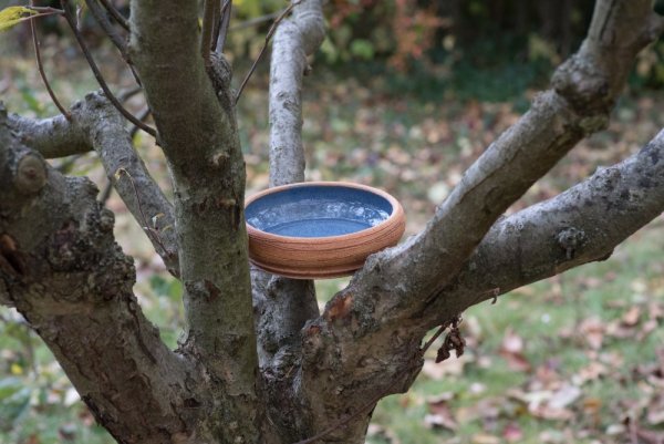Runde Keramiktränke für Insekten und Vögel - Trinker: mit einem Bienenstock