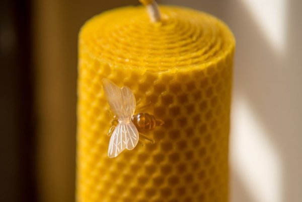 Biene pin