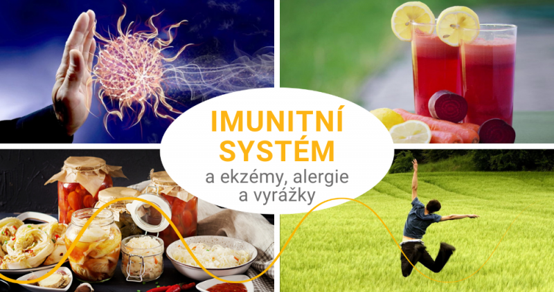 Křehký imunitní systém a ekzémy, alergie a vyrážky