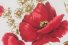 L51 Mohn