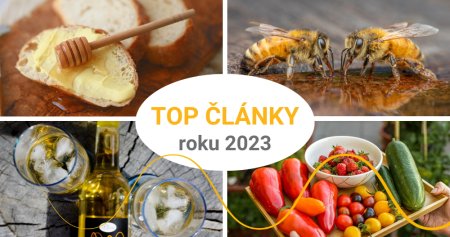 Nejčtenější články roku 2023