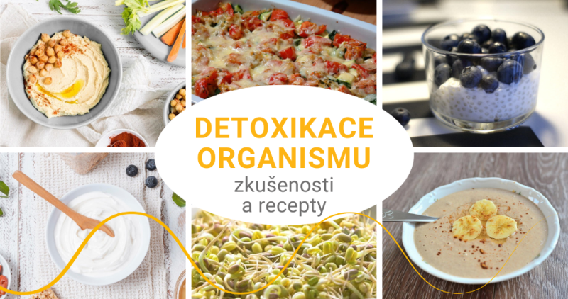 Detoxikace organismu - recepty a zkušenosti