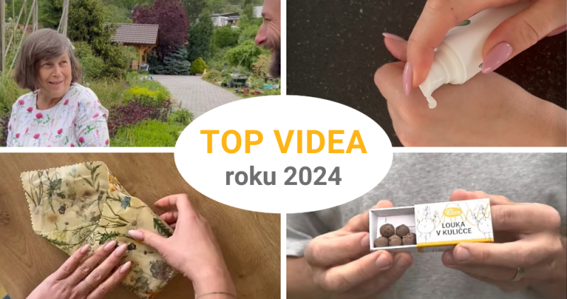 Nejoblíbenější videa našich sociálních sítí za rok 2024