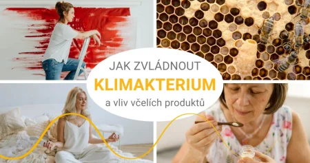 Poznejte sílu mateří kašičky a dalších včelích produktů v období klimakteria