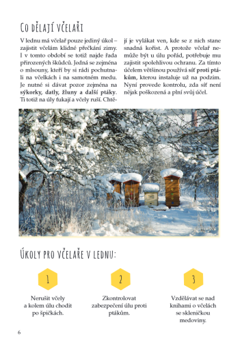 Kniha Rok včelaře, Milan Pleva