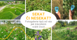 Sekat či nesekat? Fotogalerie tipů od vás, jak vrátit trávníkům život
