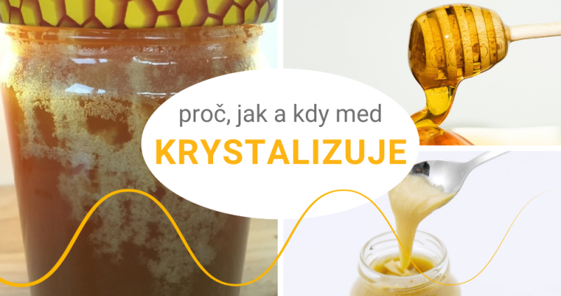 Krystalizace medu: Proč med cukernatí?