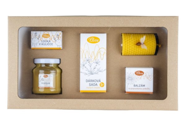 Grüße von den Bienen