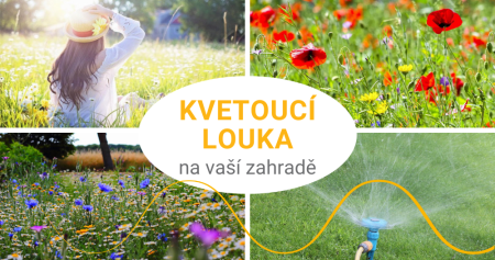 Kvetoucí louka na vaší zahradě: domov pro živočichy a odpočinek pro unavené sekáče