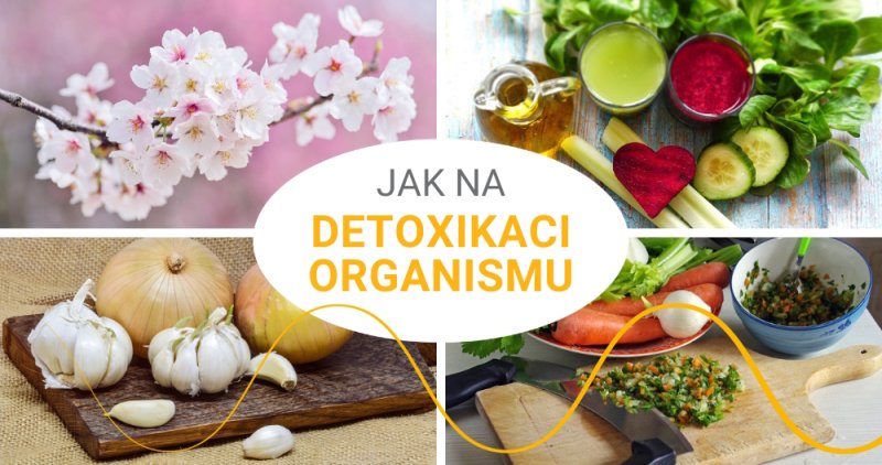 Jak na detoxikaci organismu?