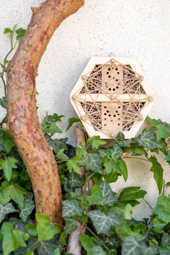Insect hotel for wild bees - hexagon