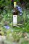 Plum Mead 0,5 l - limited edition