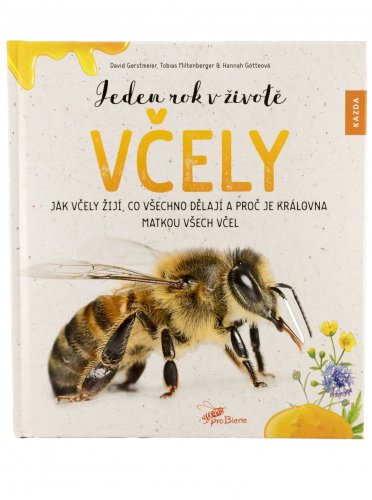 Dětská kniha Jeden rok v životě včely