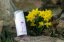 Elixir of youth with royal jelly