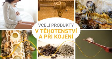 Včelí produkty v těhotenství a při kojení - co je bezpečné a kde je potřeba opatrnost