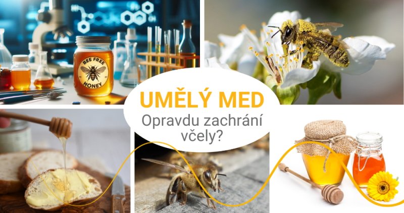 Umělý med: Opravdu zachrání včely?