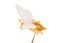 Biene pin