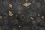 Dark bee design