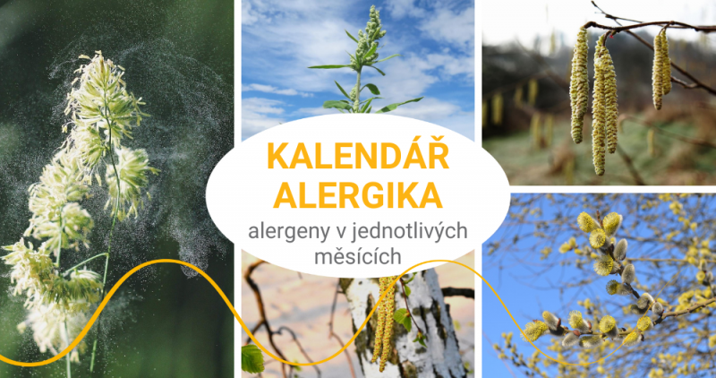 Kalendář alergika