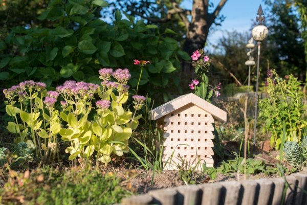 Insect hotel for wild bees