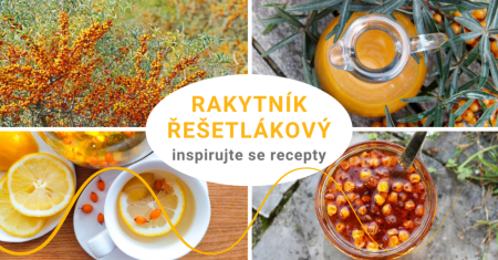 Sea buckthorn – basic information and recipe ideas