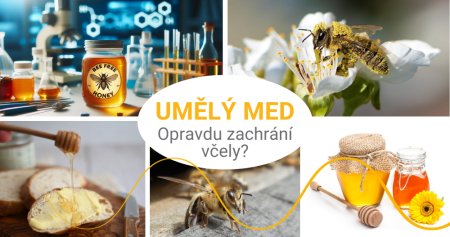 Umělý med: Opravdu zachrání včely?