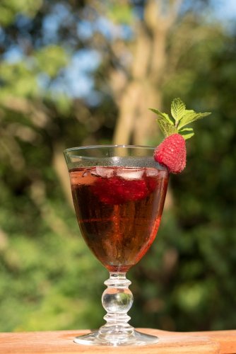 Wild raspberry mead wine 0,5l - limited edition