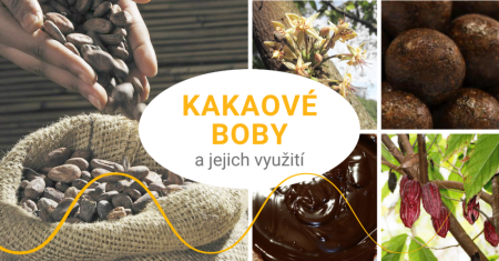 Kakaové boby - nejčokoládovější čokoláda na světě