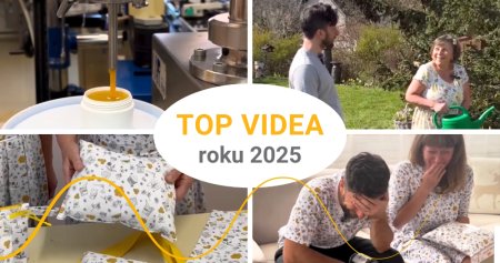 Nejoblíbenější videa našich sociálních sítí za rok 2025