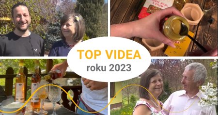 Nejoblíbenější videa našich sociálních sítí za rok 2023