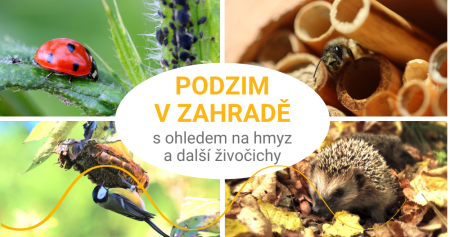 Podzim v zahradě s ohledem na hmyz a další zvířata