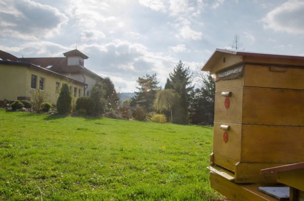 Beehives at the operation plant, 2017