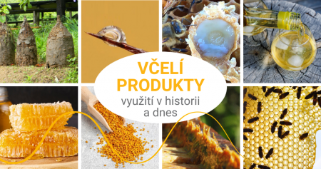 Historie a současnost využití včelích produktů