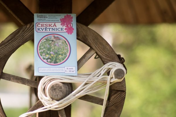 Osivo Česká přírodní květnice - luční trvalky - Hmotnost: 40 g