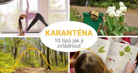 10 tipů, jak úspěšně zvládnout karanténu