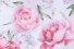 Peonies