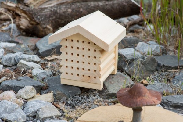 Insect hotel for wild bees