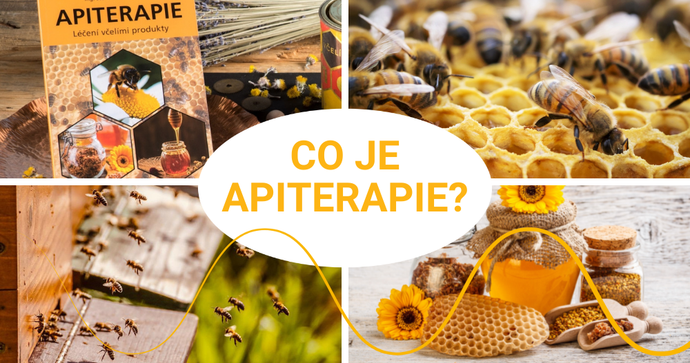 Co znamená Bee?