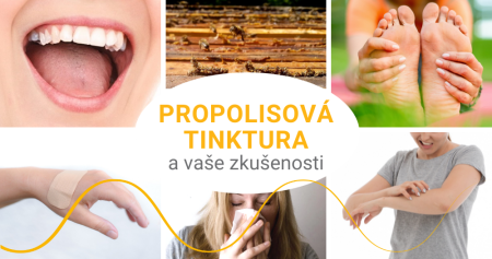 Propolis-Tinktur - Erfahrungen mit der Anwendung