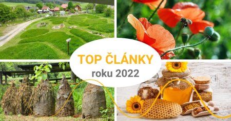 Nejčtenější články roku 2022