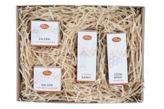 Včelí záchranná mise