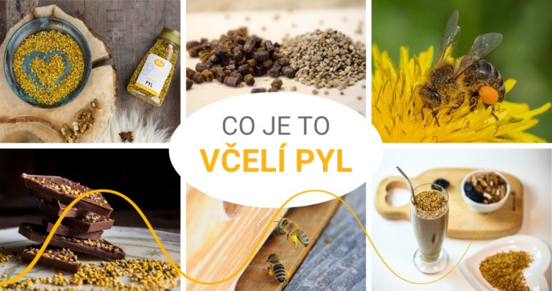 Was ist Blütenpollen?