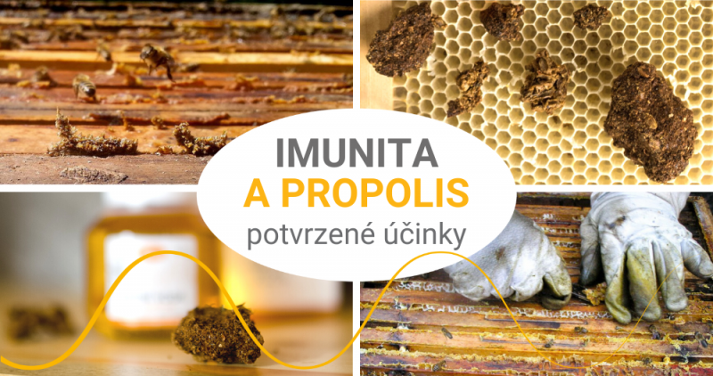 Propolis Will Strengthen Immunity in the Viral Age