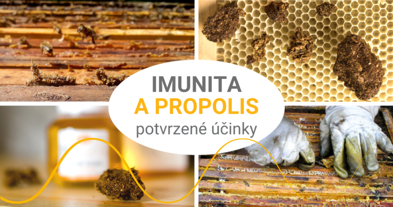 Propolis podpoří imunitu v době virové