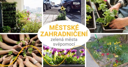 Městské zahradničení - urban gardening přináší zeleň i do měst