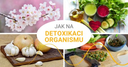 Jak na detoxikaci organismu?