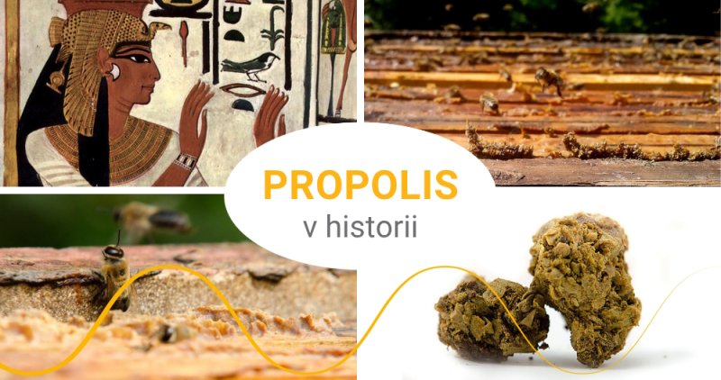 Věděli to už Egypťané. Propolis nám pomáhá přes 3000 let