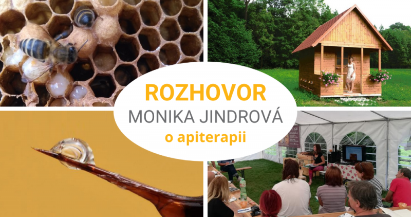 Rozhovor – Monika Jindrová, Včelařství Kunvald: o apiterapii