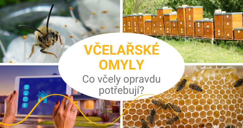 Potřebují včely inteligentní domácnost?