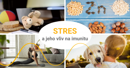 Jak stres ovlivňuje imunitu: 7 rad na jeho zvládání na základě vědeckých studií